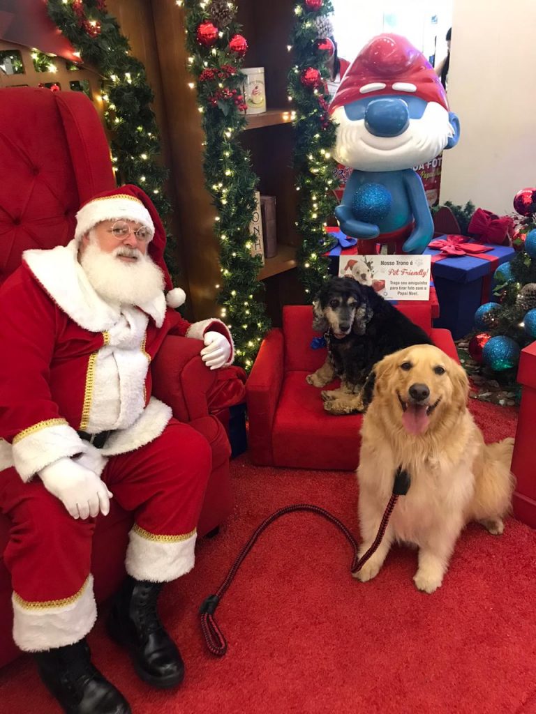 Atrium Shopping promove feira de adoção de animais e lança a árvore pet solidária