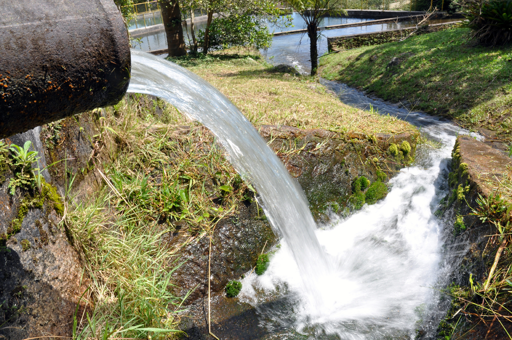 Covid-19 | Semasa lança curso on-line de Educação Ambiental totalmente gratuito