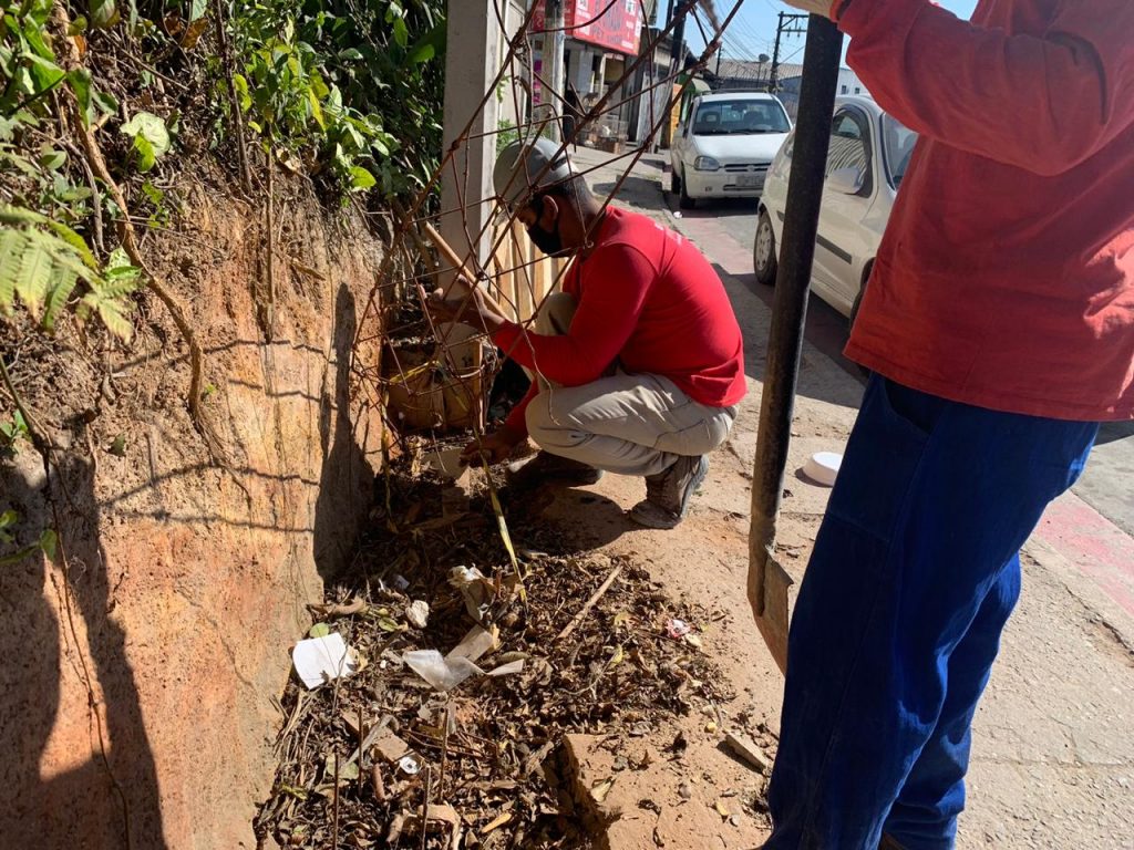 Obras de cercamento no Parque do Pedroso são retomadas