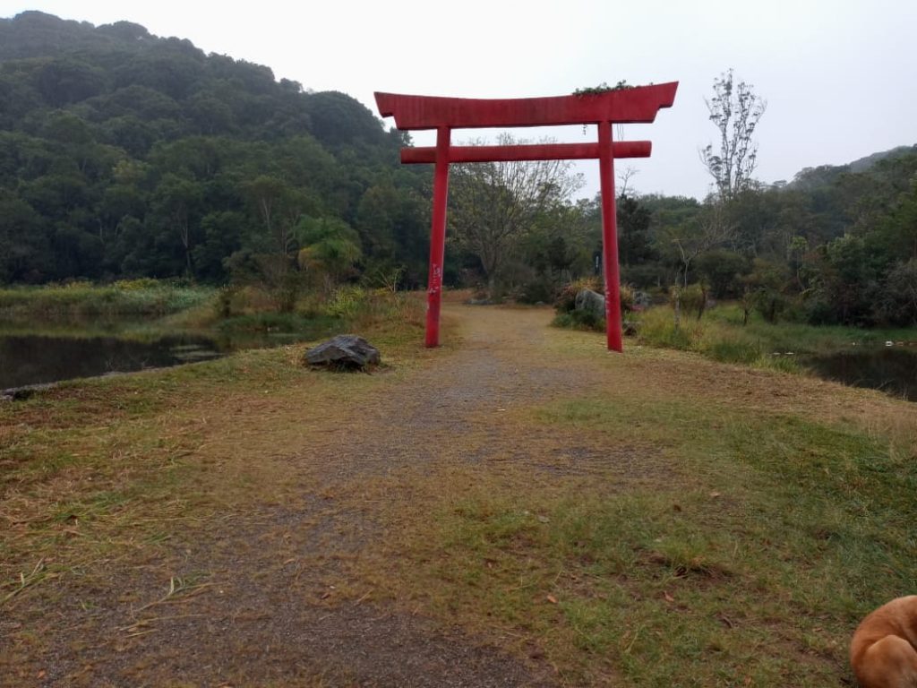 Parque do Pedroso recebe melhorias durante a quarentena