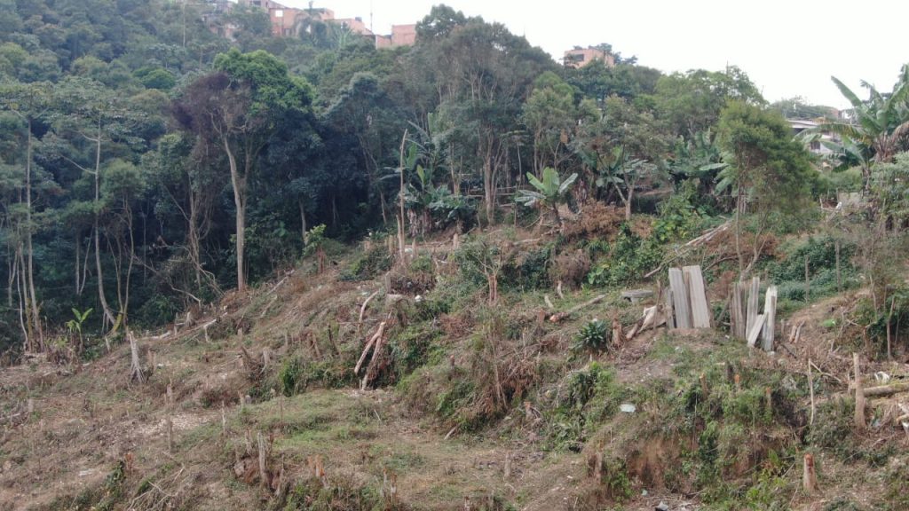 Fiscalização Ambiental do Semasa flagra movimentação de terra e corte ilegal de árvores em área invadida