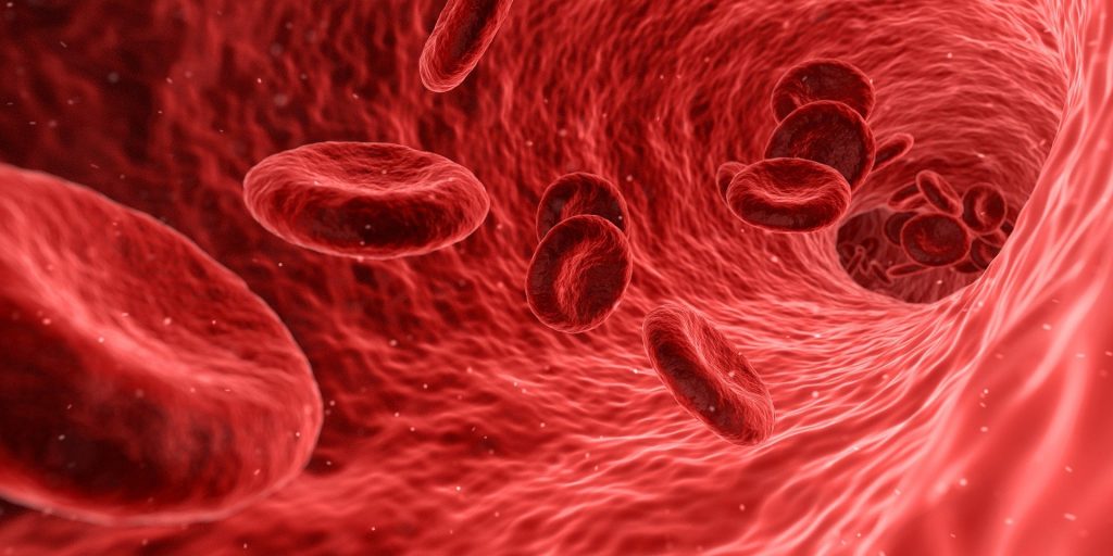 Especialista alerta para a Talassemia, anemia transmitida de pais para filhos