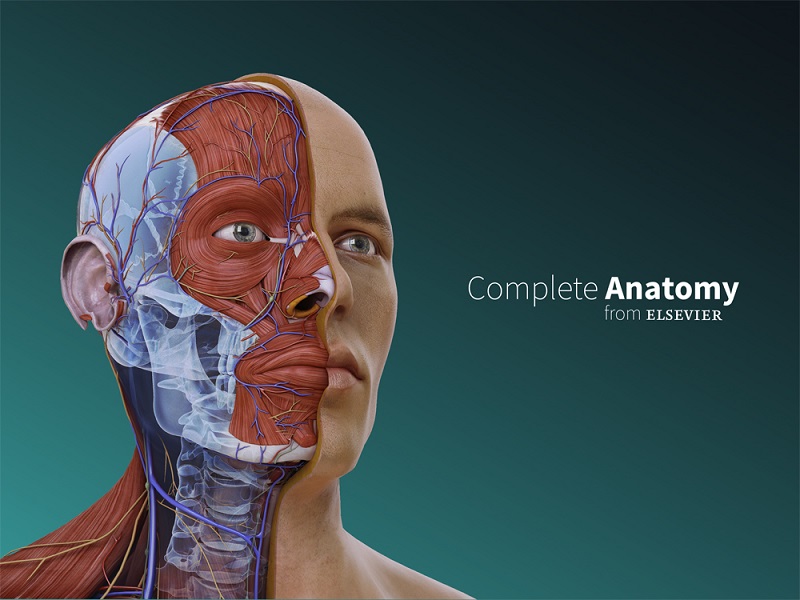 FMABC contrata plataforma 3D para estudo da anatomia humana