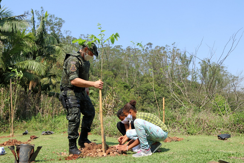 Parque do Pedroso ganha 100 mudas nativas no Dia da Árvore