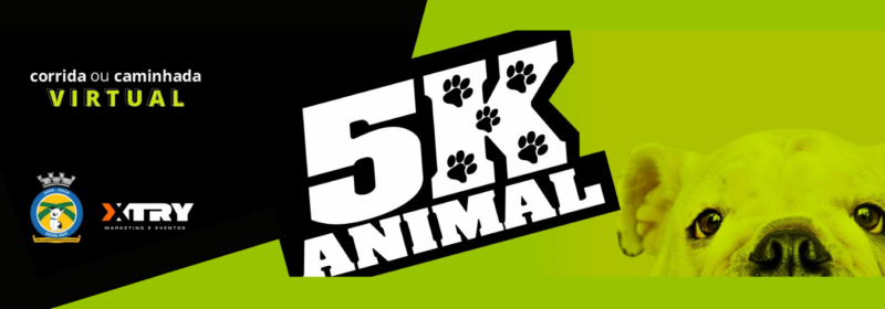 Corrida garante ração para cães e gatos assistidos por ONG