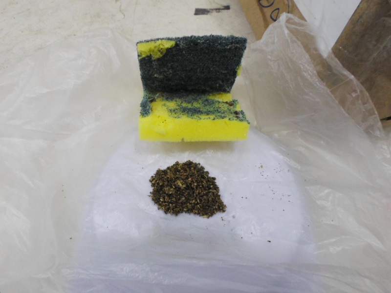 Mãe de recluso do CDP de Diadema envia droga camuflada em esponja de cozinha