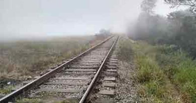 CPTM Estudado pela CPTM, Tarcísio descarta trem Suzano-Rio Grande da Serra
