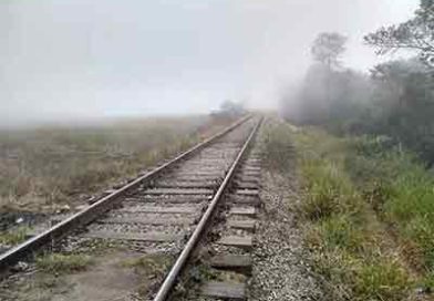 CPTM Estudado pela CPTM, Tarcísio descarta trem Suzano-Rio Grande da Serra