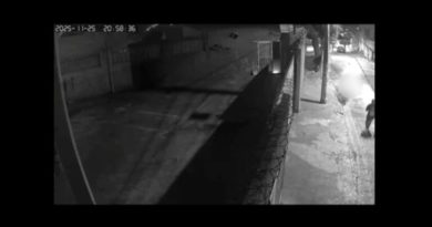 Veterinária luta com assaltante e é ferida em tentativa de latrocínio em Santo André