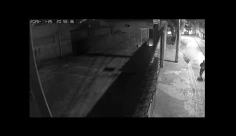 Veterinária luta com assaltante e é ferida em tentativa de latrocínio em Santo André