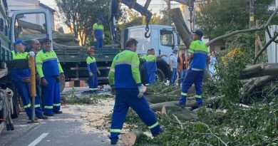Após ventania, 15 mil estão sem energia em São Caetano