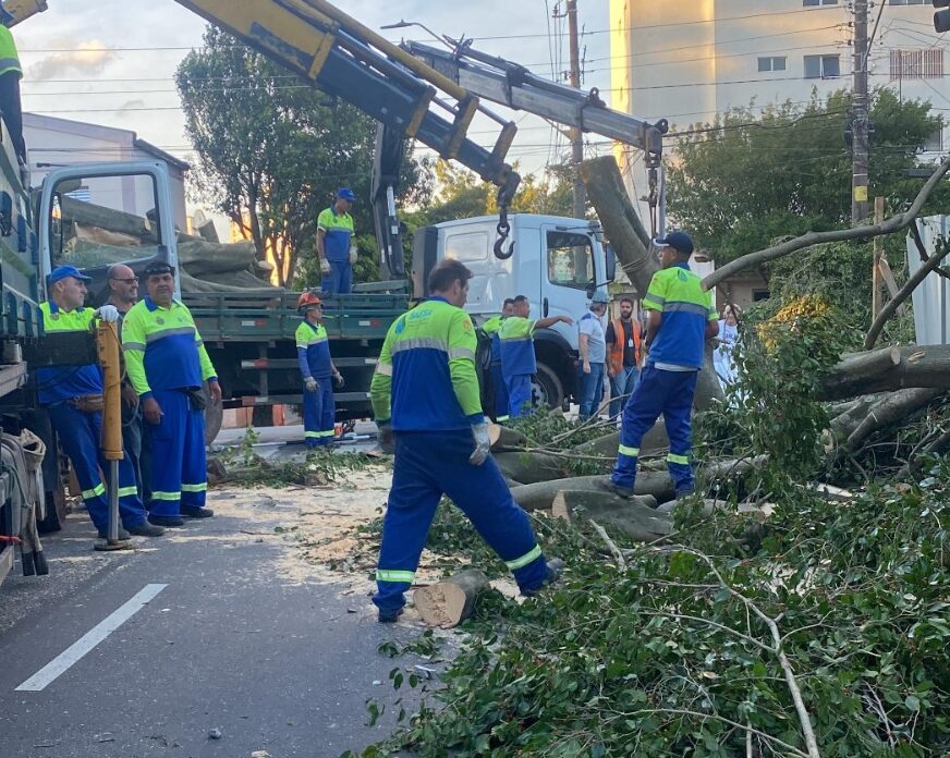 Força-tarefa da Prefeitura de São Caetano garante retomada dos serviços na cidade, mas Enel ainda não restabeleceu a energia de todas as residências