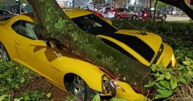 Camaro Amarelo bate em árvore próximo ao Parque Central em Santo André