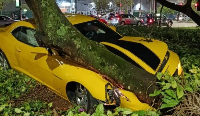 Camaro Amarelo bate em árvore próximo ao Parque Central em Santo André