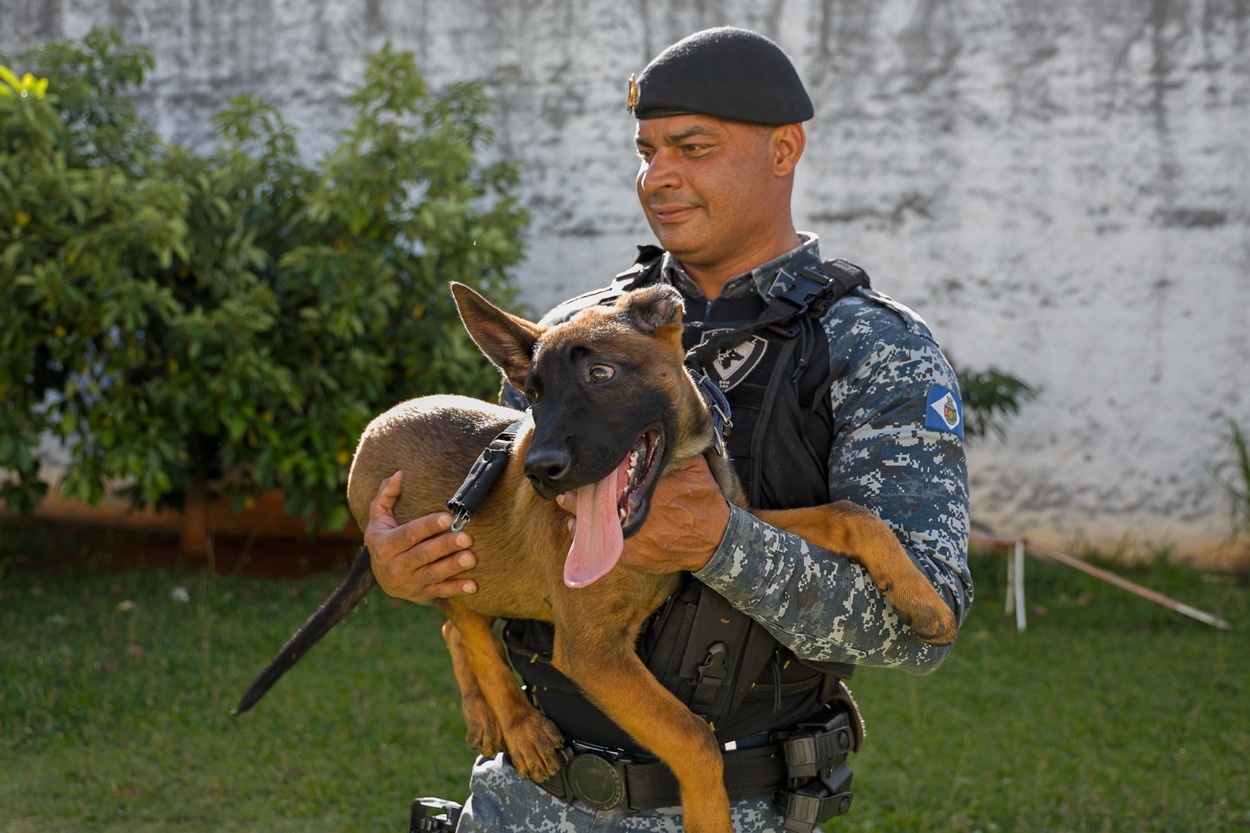 Um dos filhotes já tem nome - Titan. O outro o público vai escolher pelas redes sociais da Prefeitura entre os nomes Adam, Drone ou Red