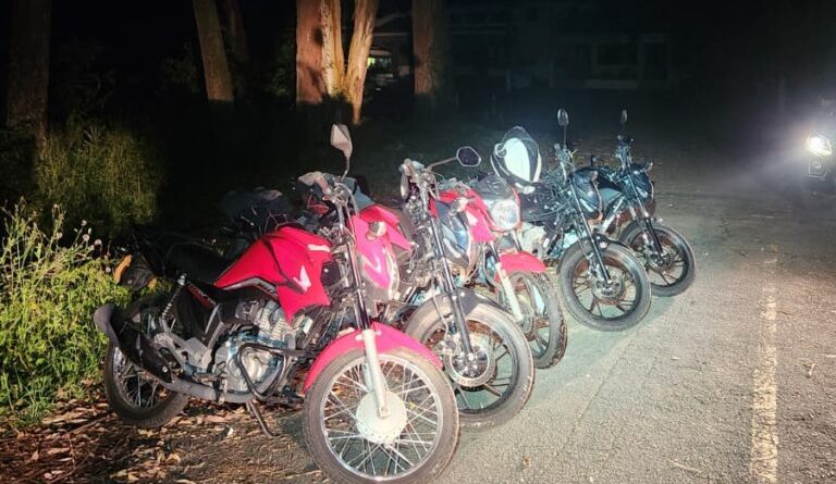 Em São Bernardo, Romu identifica 5 motos com placas adulteradas escondidas em área de matagal