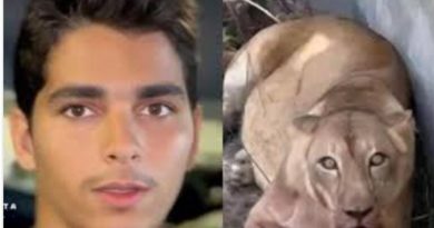 Leoa que tirou a vida de jovem em zoológico está “bem” após estresse e eutanásia está descartada