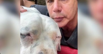 Márcio Garcia desabafa em luta contra o câncer de seu pet: “O Dilema Mais Difícil da Vida”