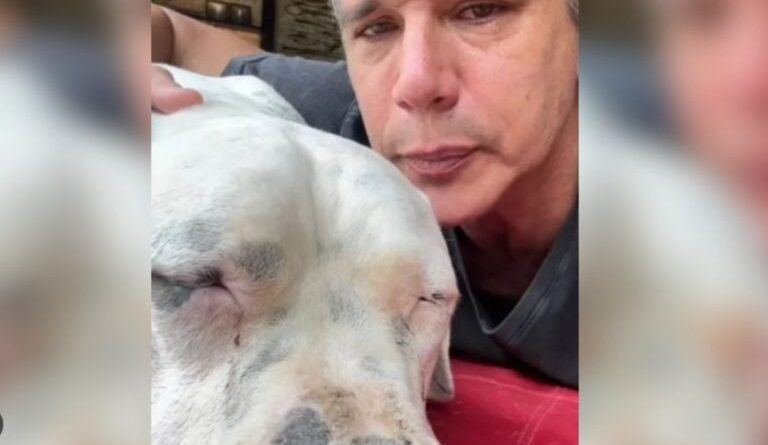 Márcio Garcia desabafa em luta contra o câncer de seu pet: “O Dilema Mais Difícil da Vida”