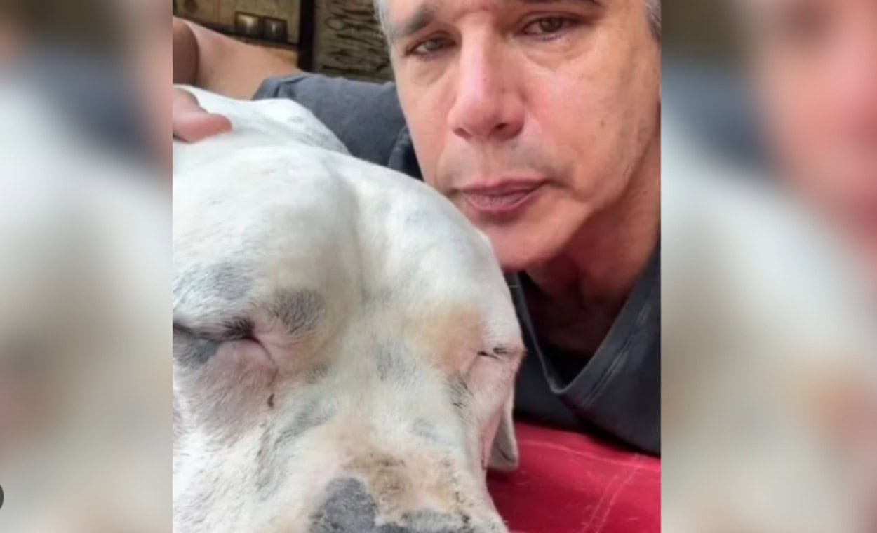 Márcio Garcia desabafa em luta contra o câncer de seu pet: "O Dilema Mais Difícil da Vida"