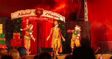 Natal Iluminado de São Bernardo arrecadou 3,5 toneladas de alimentos