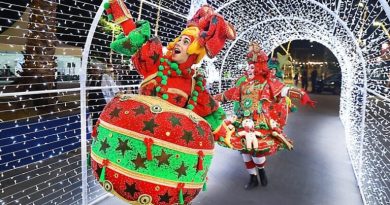 Papai Noel chega em 14 de dezembro em Diadema
