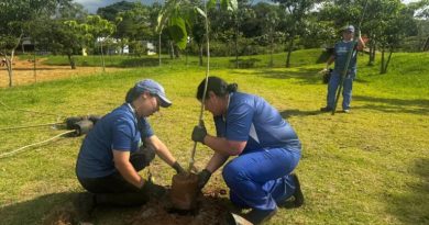 Parque Central passa por ampla revitalização e recebe plantio de 300 árvores