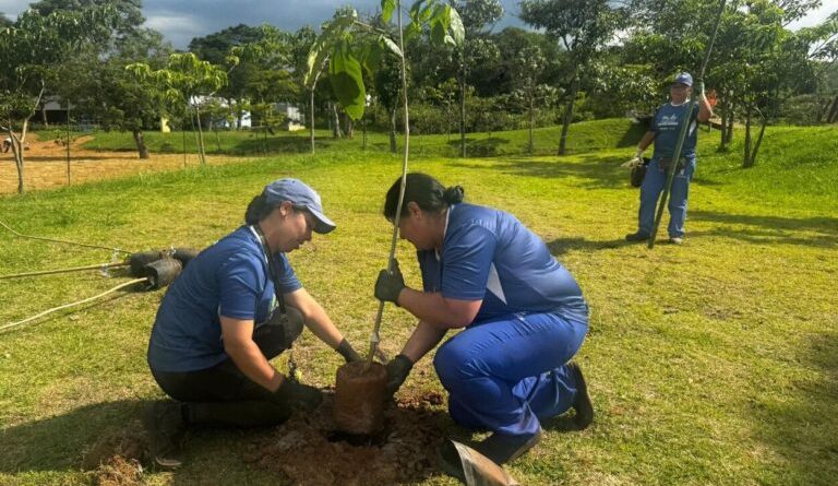 Parque Central passa por ampla revitalização e recebe plantio de 300 árvores
