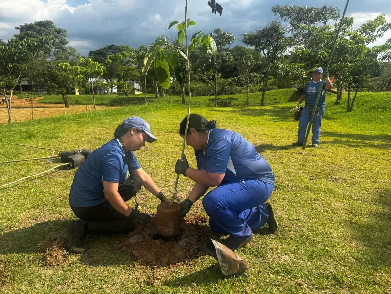Parque Central passa por ampla revitalização e recebe plantio de 300 árvores