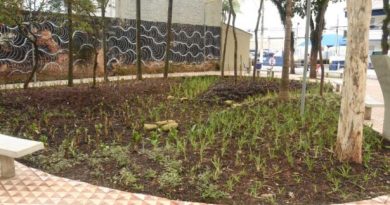 Praça no centro de Santo André ganha canteiro esponja para combater alagamentos