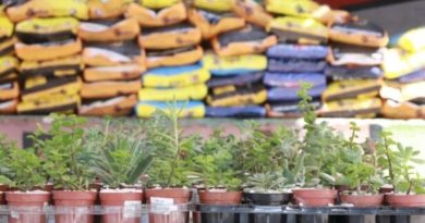 Prefeitura de Ribeirão Pires distribui mais de três toneladas de ração a protetores e animais