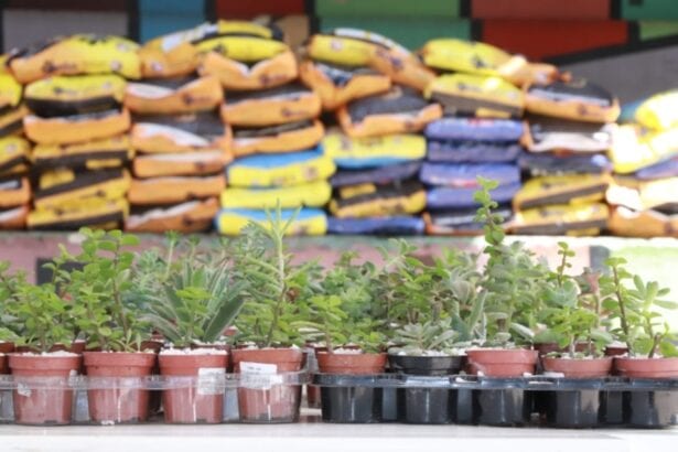 Prefeitura de Ribeirão Pires distribui mais de três toneladas de ração a protetores e animais