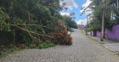 Prefeitura reforça pronta-resposta após chuvas e ventos intensos em Ribeirão Pires