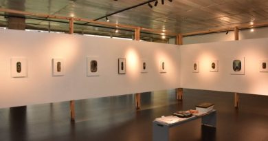 Em Santo André, exposição “João Suzuki: Horizontes” termina na próxima semana