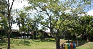 Emea Parque Tangará abre inscrições para programação gratuita de férias em Santo André