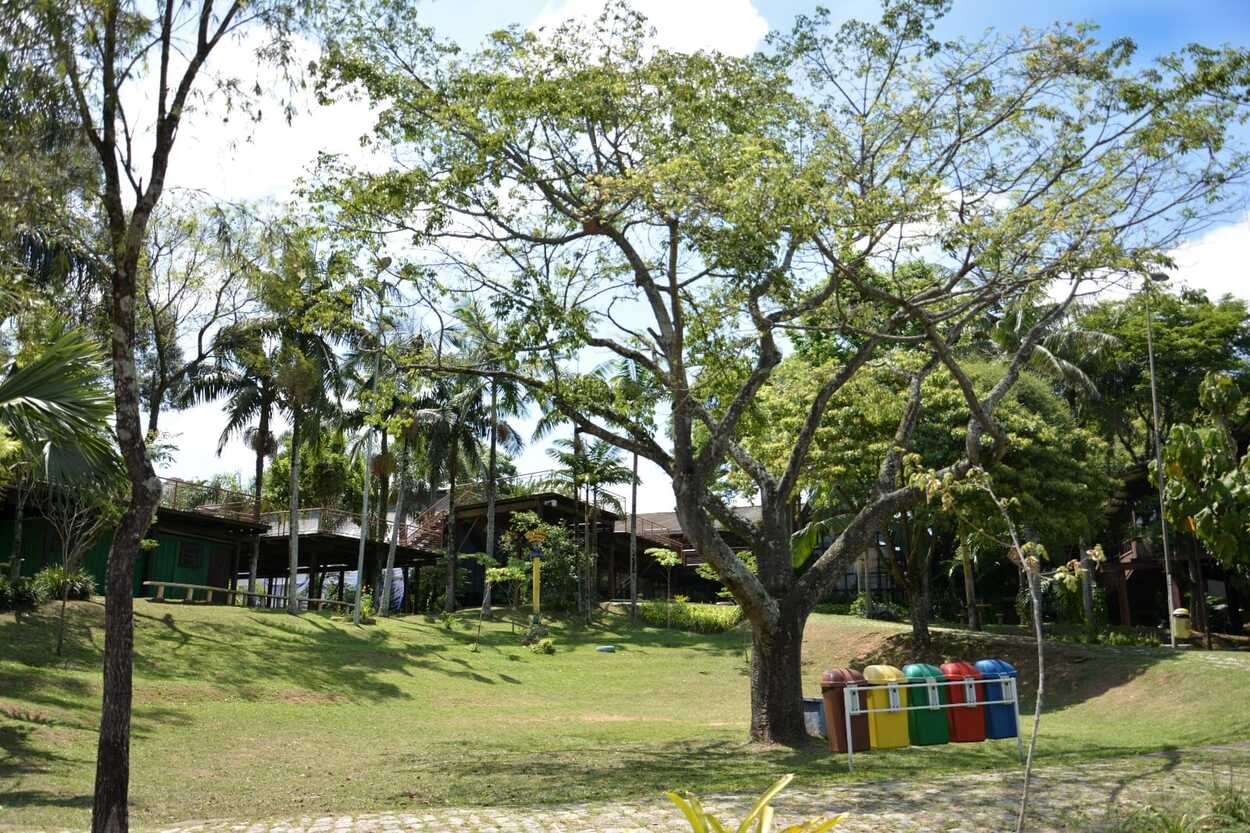 Emea Parque Tangará abre inscrições para programação gratuita de férias em Santo André