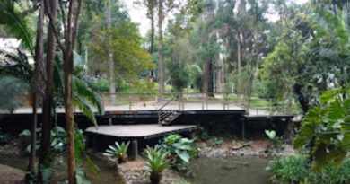 Opções culturais, ao ar livre e de lazer no ABC para o final de semana