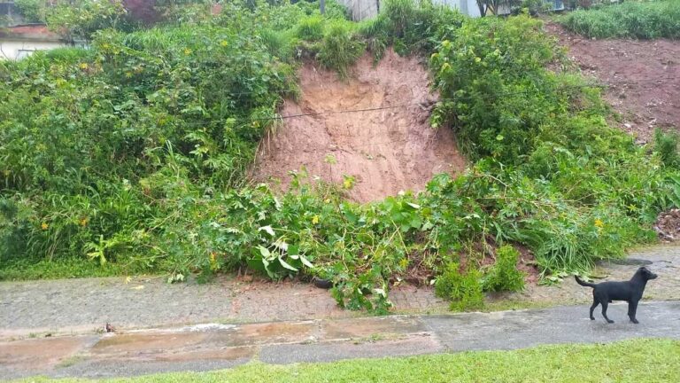 Fortes chuvas causam estragos em Ribeirão Pires e Rio Grande da Serra neste domingo