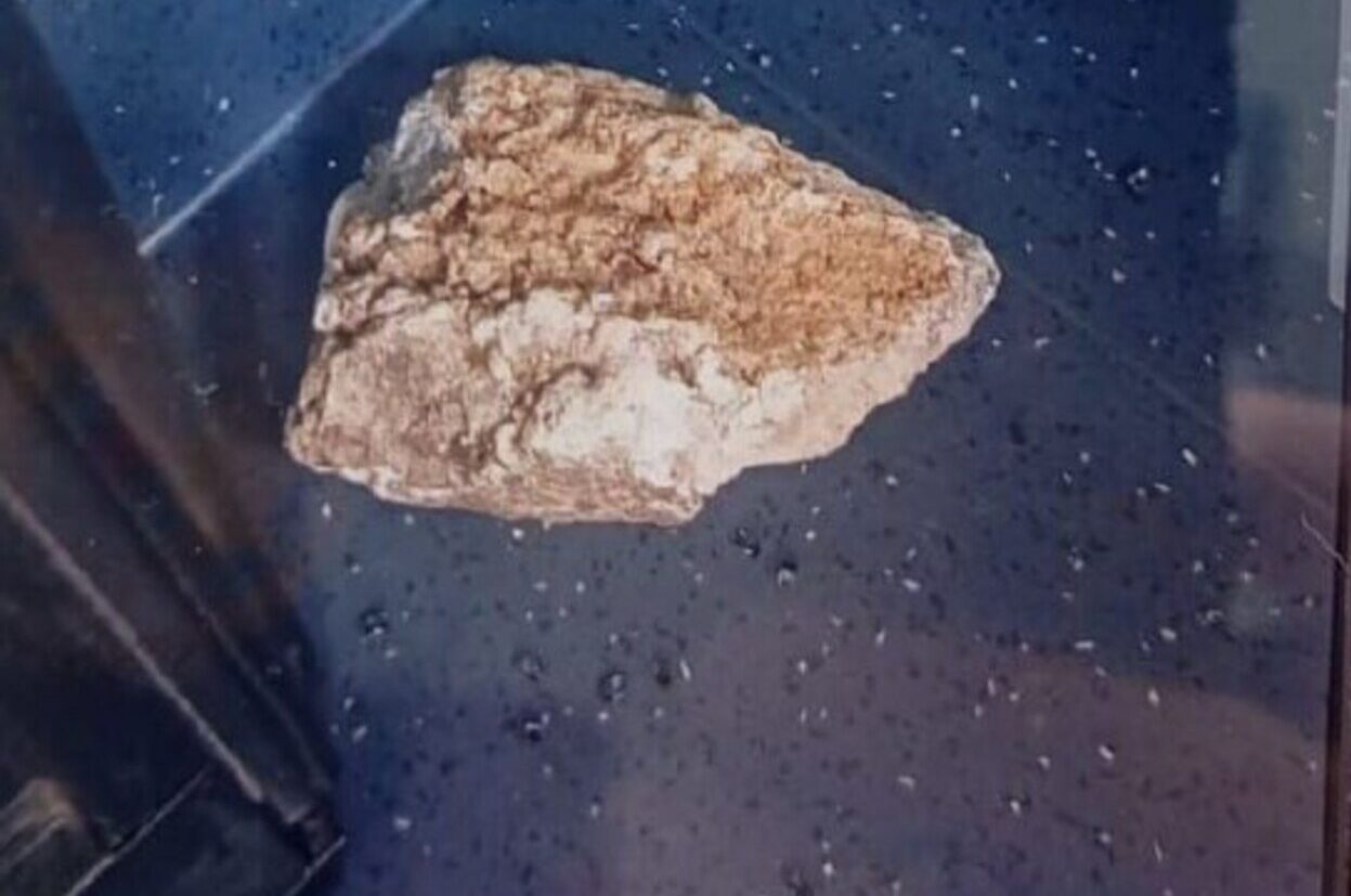 equipe da área da Guarda Civil Municipal de Diadema prendeu um indivíduo que arremessou uma pedra contra um ônibus da Next Mobilidade