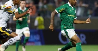 Novorizontino x Palmeiras: Detalhes e como assistir ao vivo