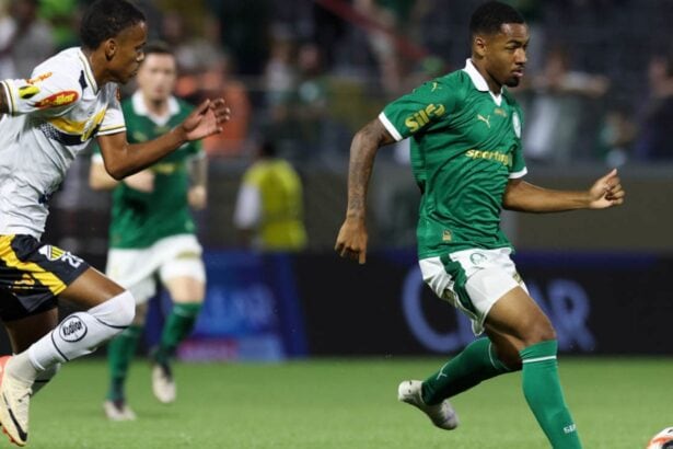 Novorizontino x Palmeiras: Detalhes e como assistir ao vivo