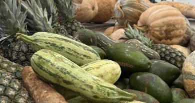 Pelo ‘Aquisição Alimentar’, São Bernardo terá investimento para compra de hortifrúti da agricultura familiar