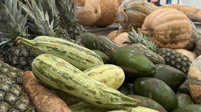 Pelo ‘Aquisição Alimentar’, São Bernardo terá investimento para compra de hortifrúti da agricultura familiar