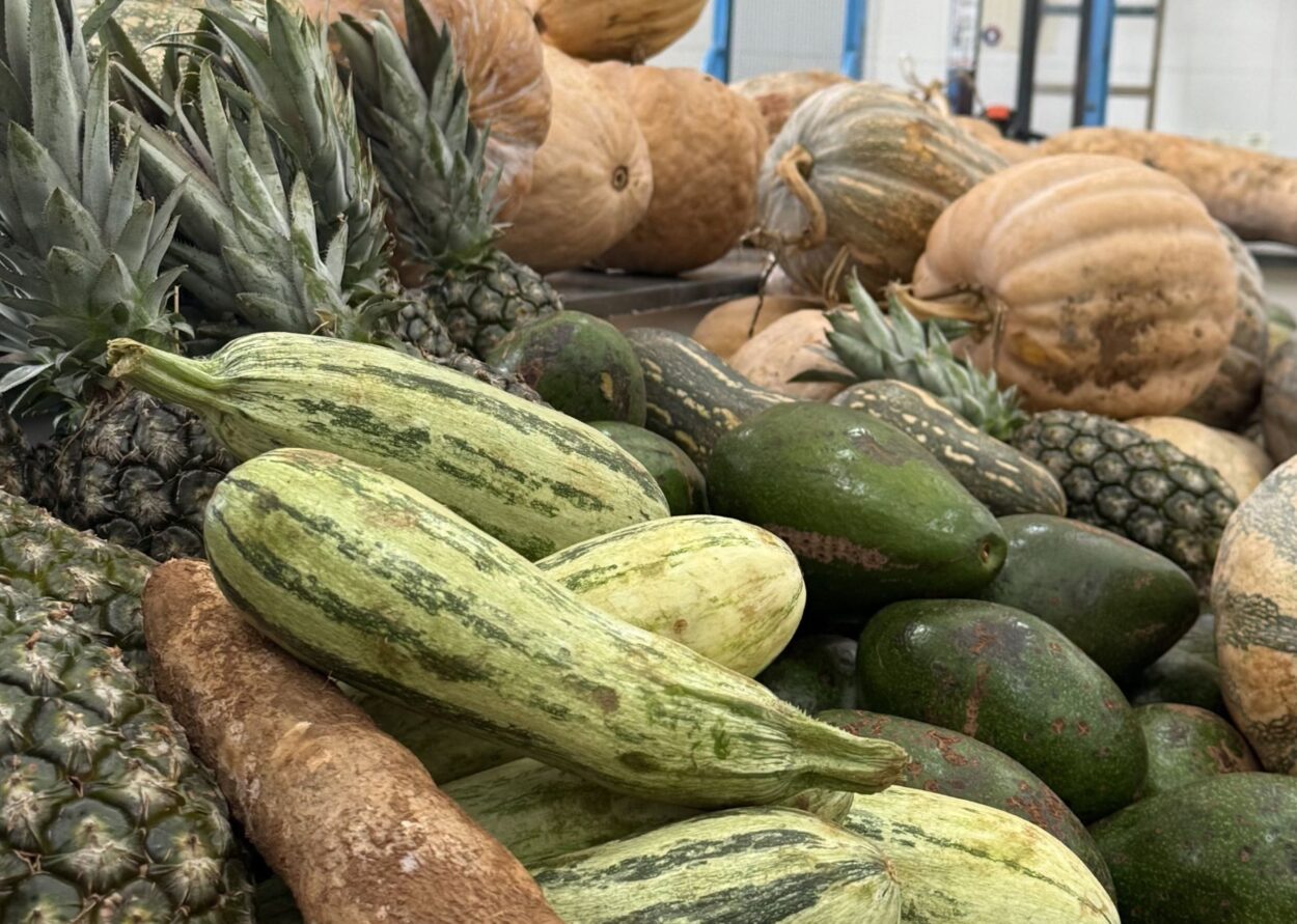 Pelo ‘Aquisição Alimentar’, São Bernardo terá investimento para compra de hortifrúti da agricultura familiar