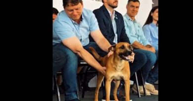 Tarcísio posta sobre “caramelos” em eventos oficiais após comoção por Orelha