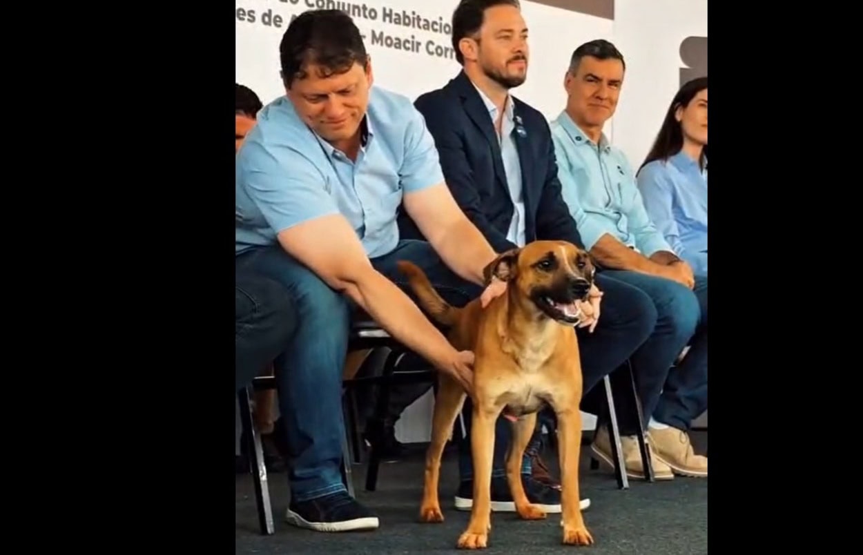 Tarcísio posta sobre "caramelos" em eventos oficiais após comoção por Orelha