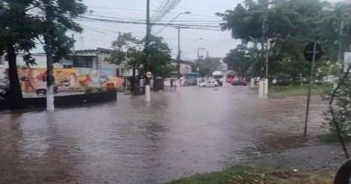 Temporal atinge ABCD e causa pontos de alagamento e quedas de árvores nesta quinta-feira