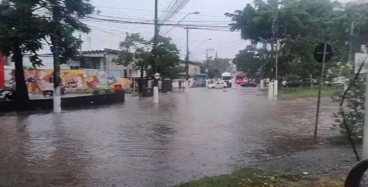 Temporal atinge ABCD e causa pontos de alagamento e quedas de árvores nesta quinta-feira