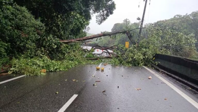 Volta do feriado: Sistema Anchieta-Imigrantes registra congestionamento em diversos pontos