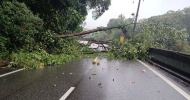 Volta do feriado: Sistema Anchieta-Imigrantes registra congestionamento em diversos pontos